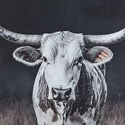 Harlandale Wall Art Ashley Furniture Wall Art  Fresh Start Furniture