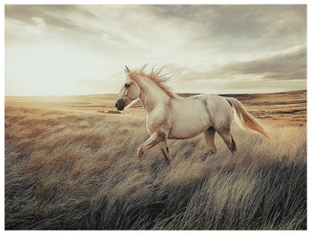 Errolville Wall Art -  Ashley Furniture Wall Art  Fresh Start Furniture