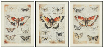 Jossletts Wall Art (Set of 3) Ashley Furniture Wall Art Default Title Fresh Start Furniture