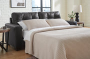 Barlin Mills Sofa Sleeper -  Ashley Furniture Sleeper