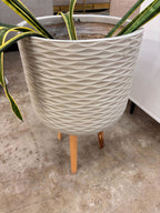 Flower Pot
