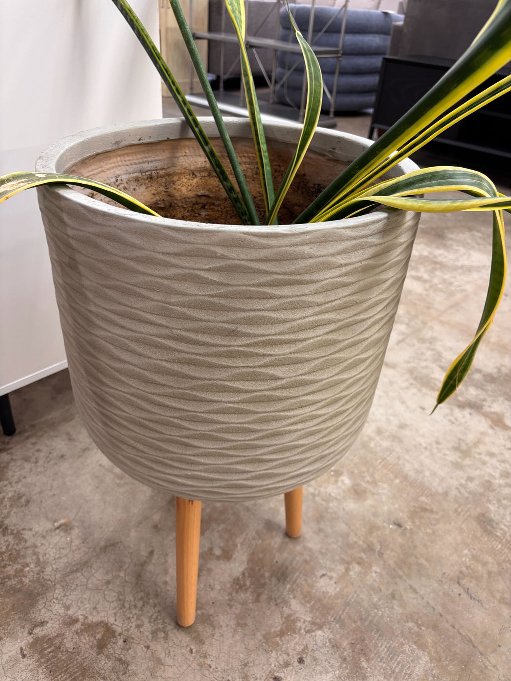 Flower Pot