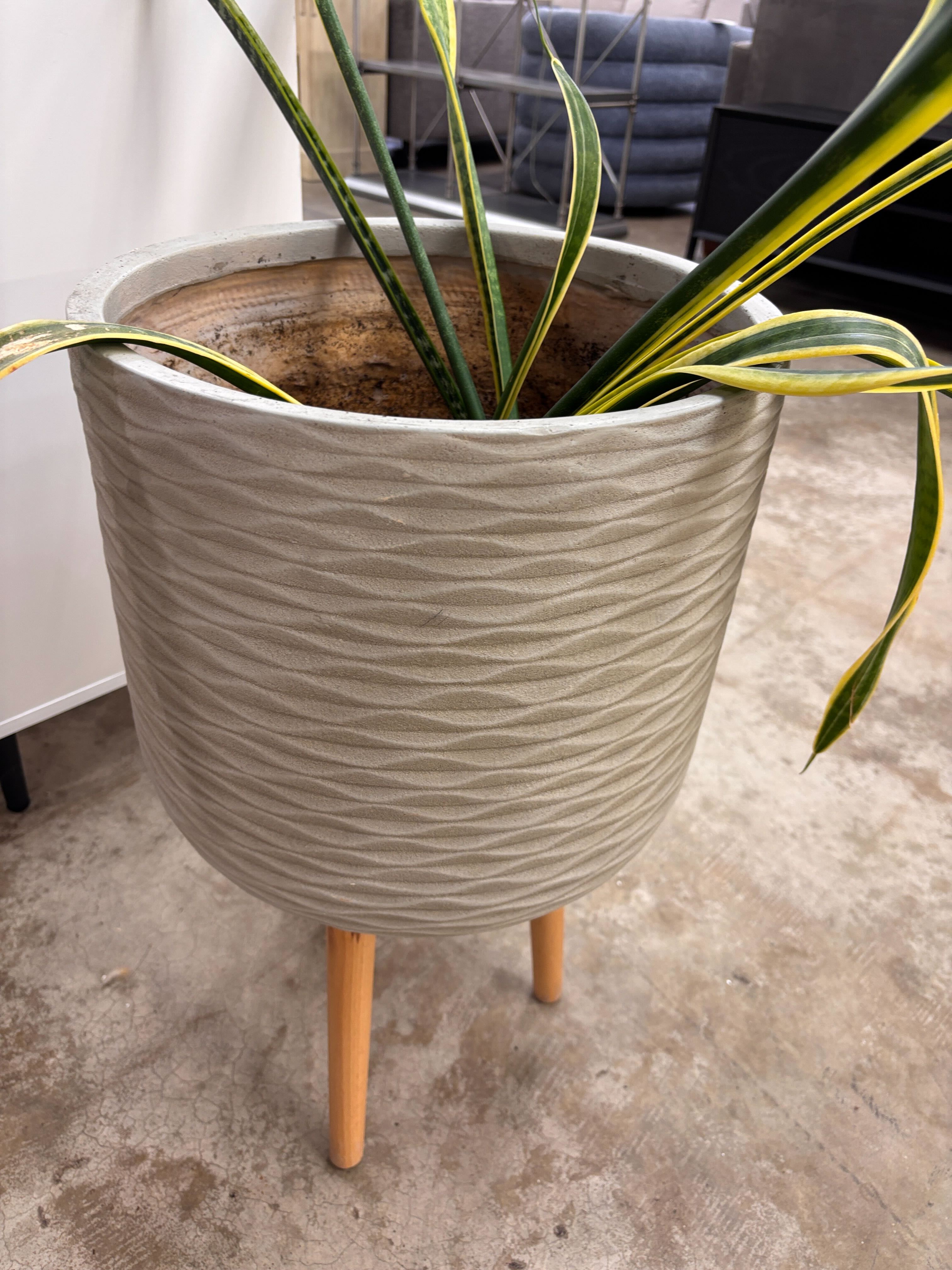 Flower Pot