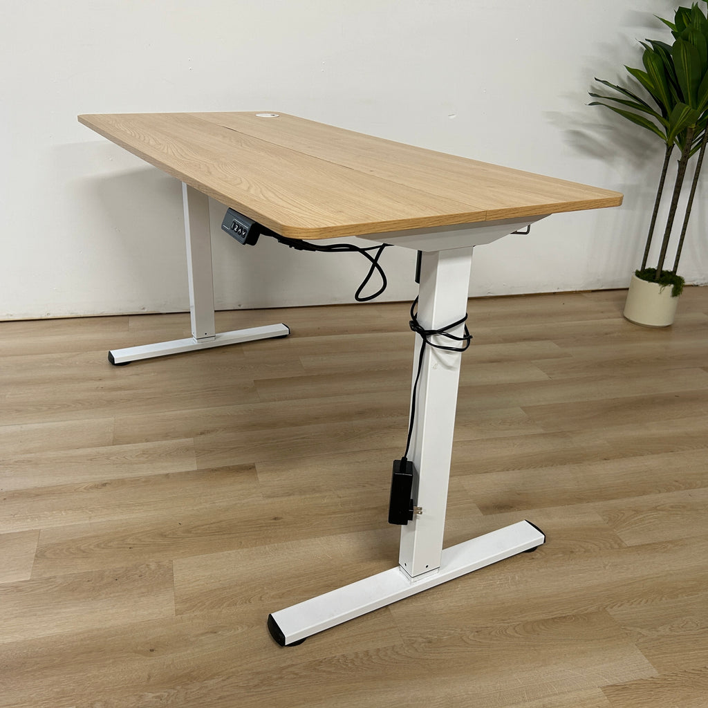 Flexispot Sit to Stand Desk