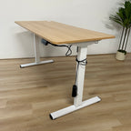 Flexispot Sit to Stand Desk