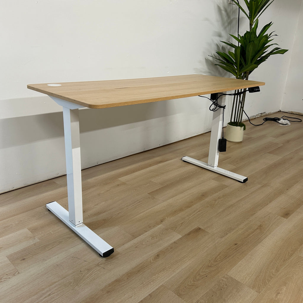 Flexispot Sit to Stand Desk