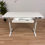 Agilestic Standing Desk