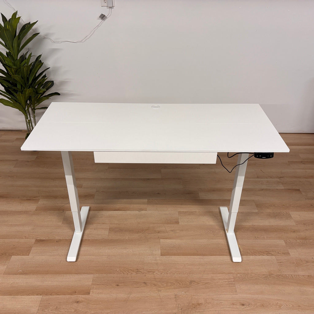 Agilestic Standing Desk