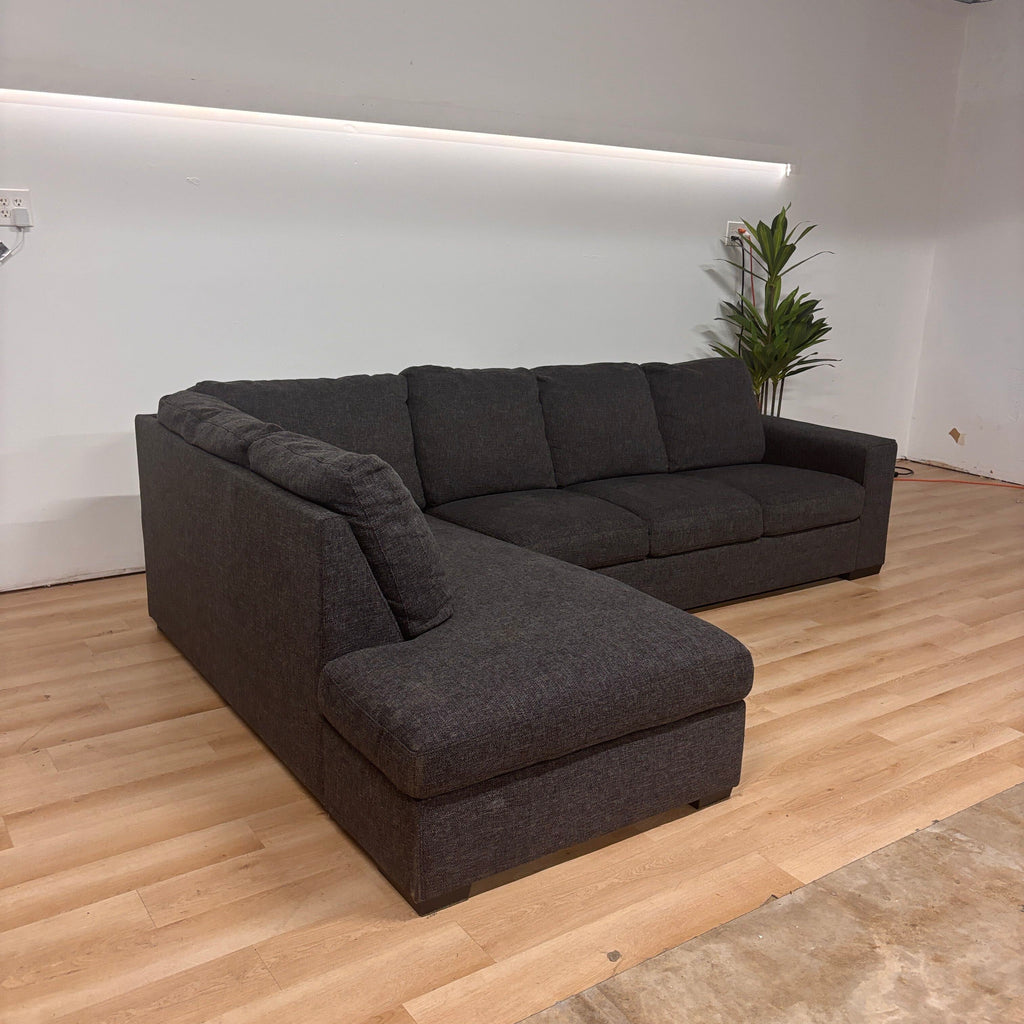 Living Spaces Lucy 2 Piece Sectional