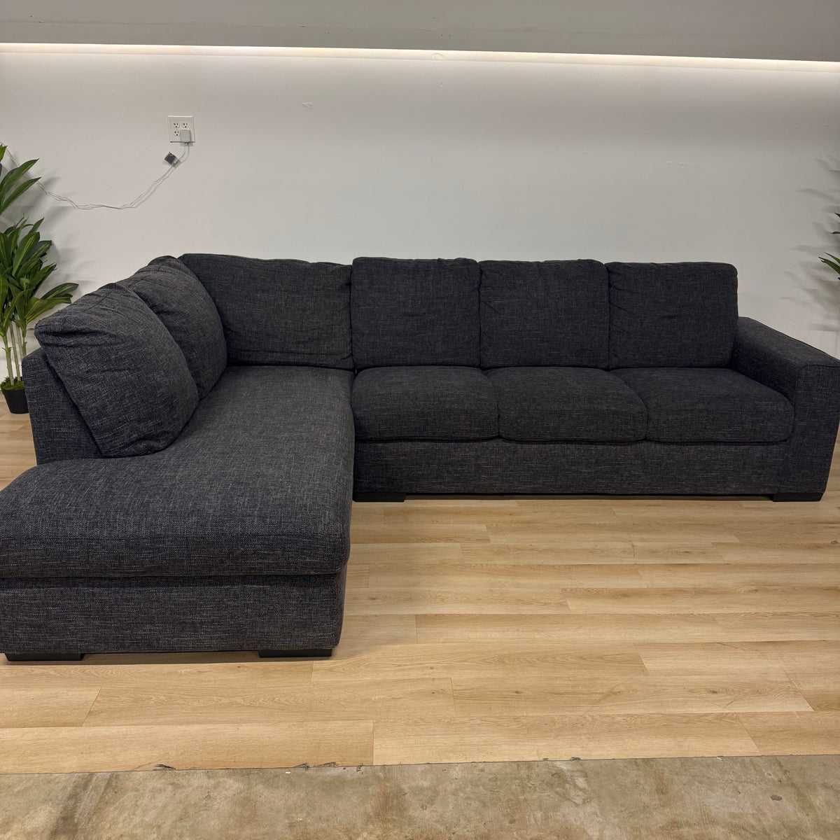 Living Spaces Lucy 2 Piece Sectional