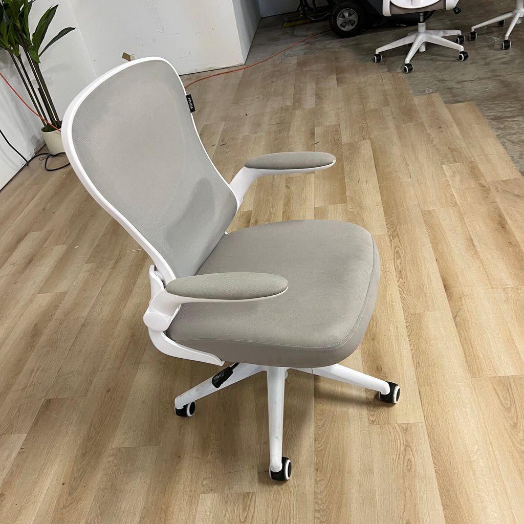 Hbada Ergonomic Office Chair