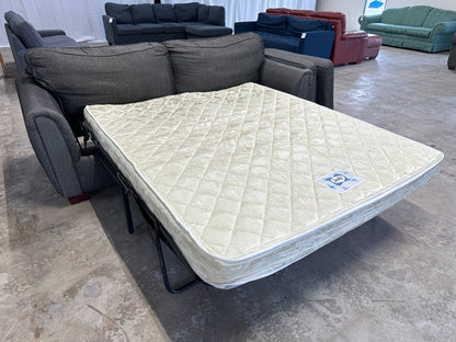 Sealy Sleeper Sofa