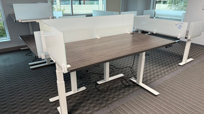 Juniper Office Adjustable Think Desk with Dry Erase Frosted Glass Dividers