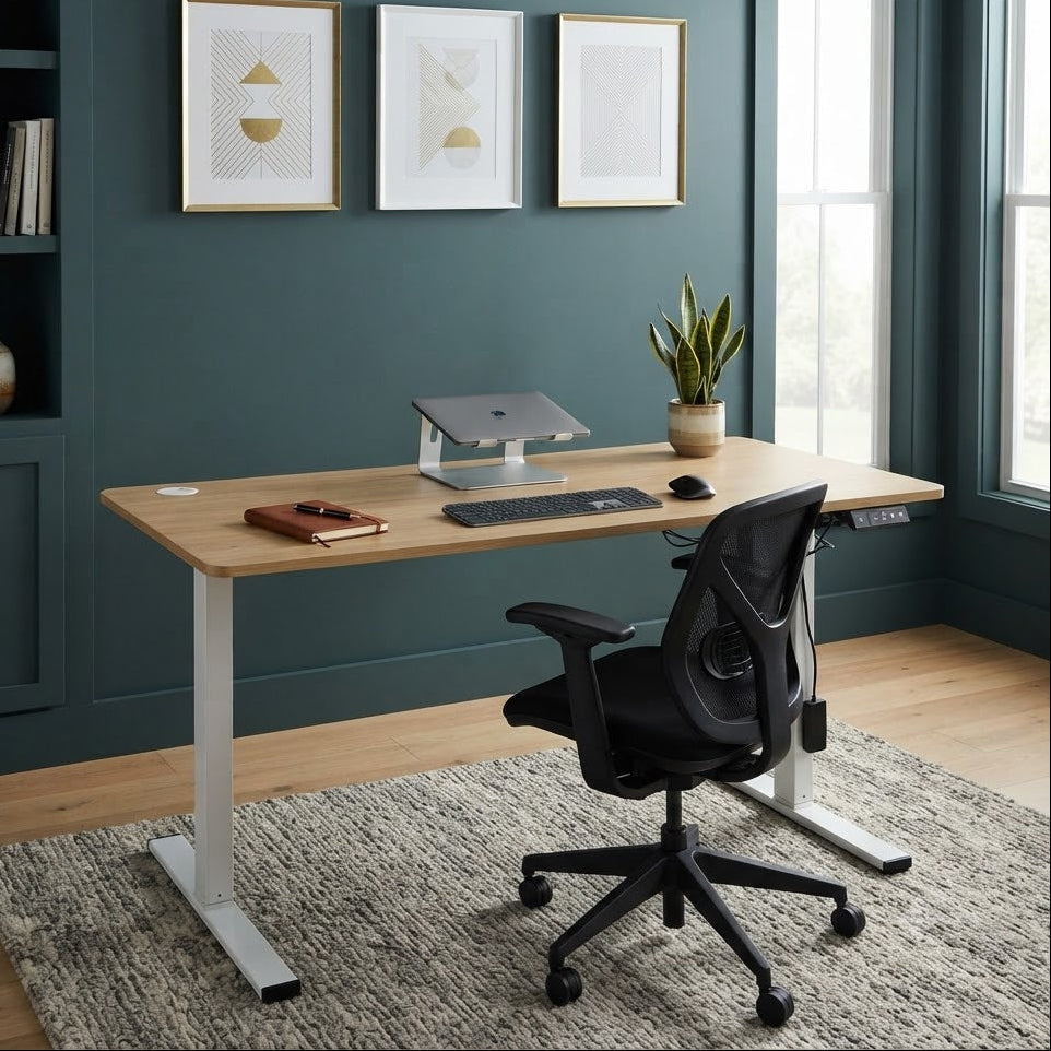 Flexispot Sit to Stand Desk