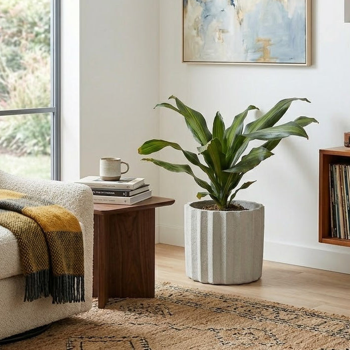 Fresh Start Furniture